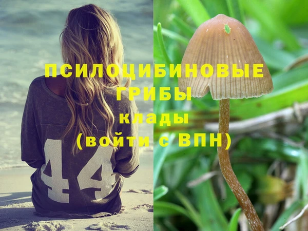 прущая мука Кукмор